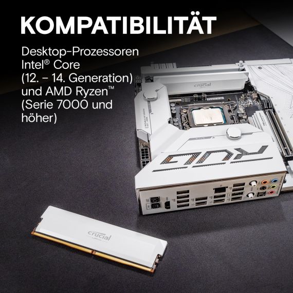 Crucial Pro - Overclocking Edition - DDR5 - kit | CP2K16G60C36U5W