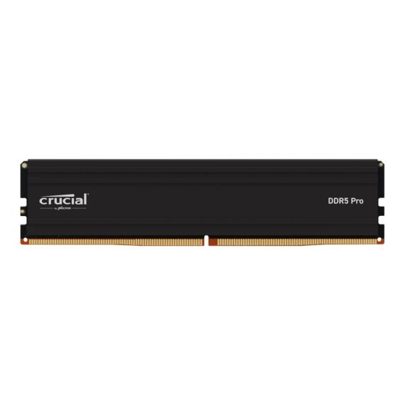 Crucial Pro - DDR5 - module - 16 GB - DIMM 288-pin | CP16G60C48U5
