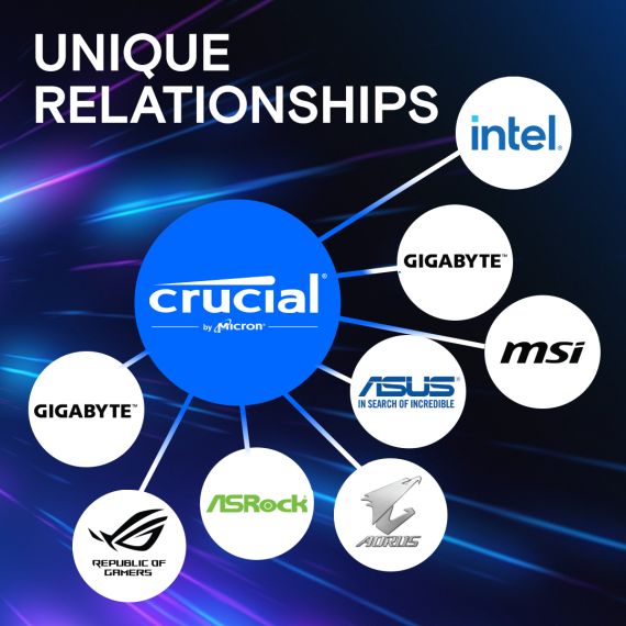 Crucial Pro - DDR5 - module - 16 GB - DIMM 288-pin | CP16G60C48U5