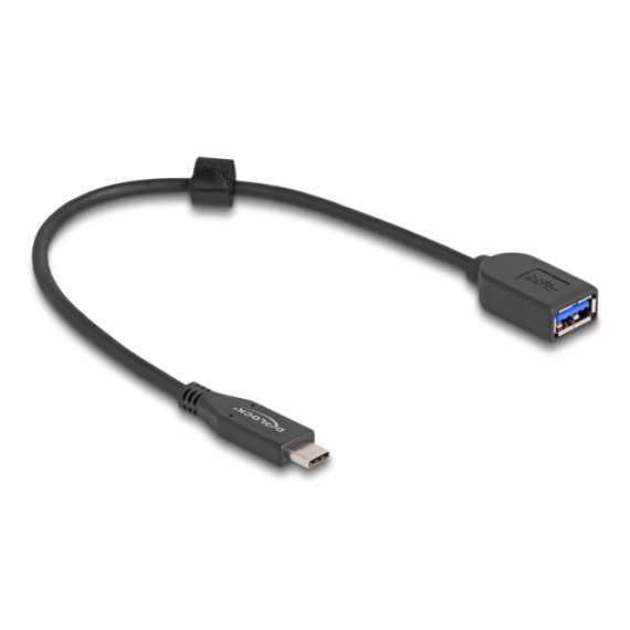 Delock - USB cable - 24 pin USB-C (M) to USB (F) - 25 cm  | 60567