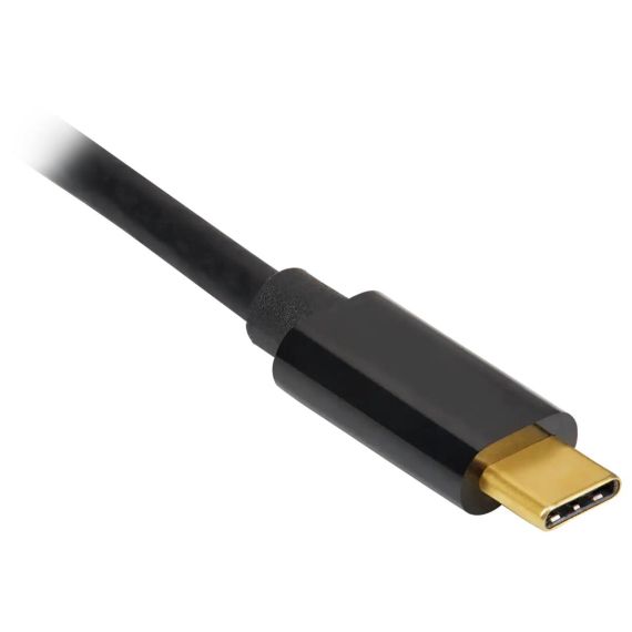 CORSAIR - DisplayPort cable - 24 pin USB-C (M) to | CU-9000005-WW