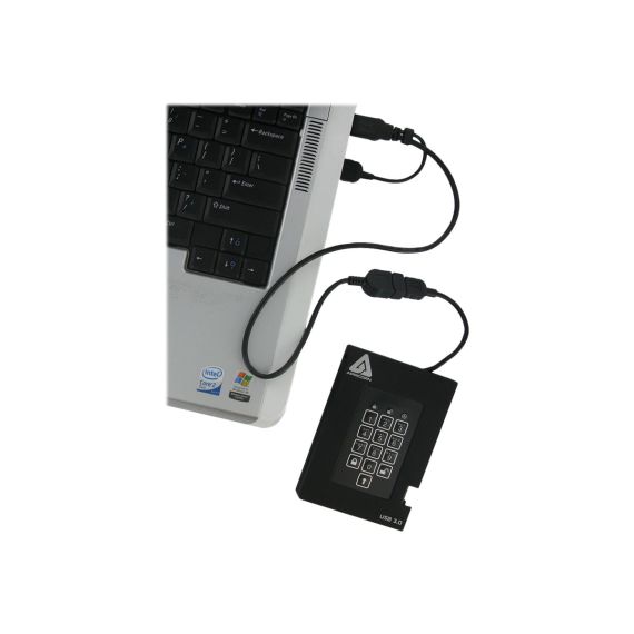 Apricorn Aegis Padlock Fortress A25-3PL256-S1000F - SSD - encrypt