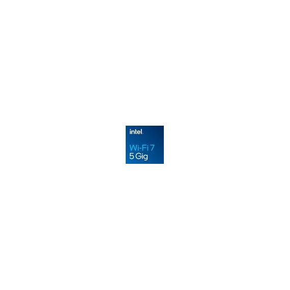 Intel WiFi 7 BE200 Network adapter M.2 2230 WiFi BE200.NGWG