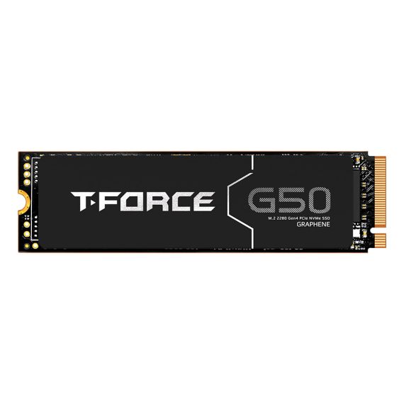 Team Group G50 / 1 TB / M.2 / PC/Laptop | TM8FFE001T0C129