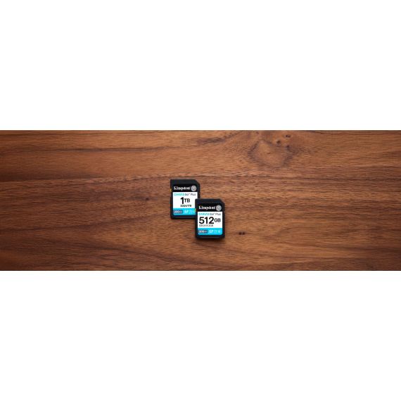 Kingston Technology 512GB SDXC Canvas Go Plus Gen4 2 | SDG4/512GB