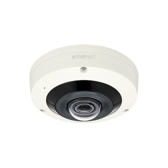 Network surveillance camera / dome / outdoor / vanda | XNF-8010RV