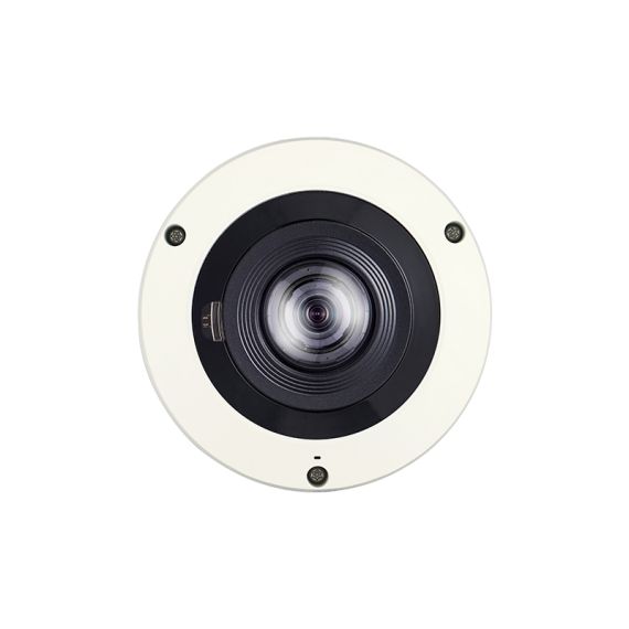 Network surveillance camera / dome / outdoor / vanda | XNF-8010RV