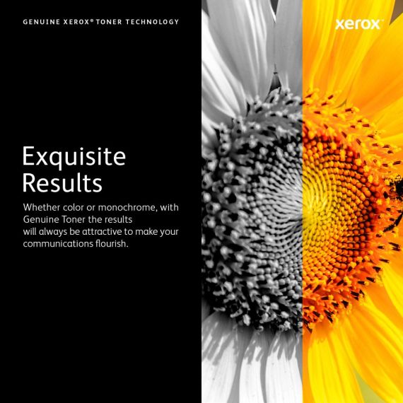 Xerox WorkCentre 7500 Series / Black / original / ton | 006R01513