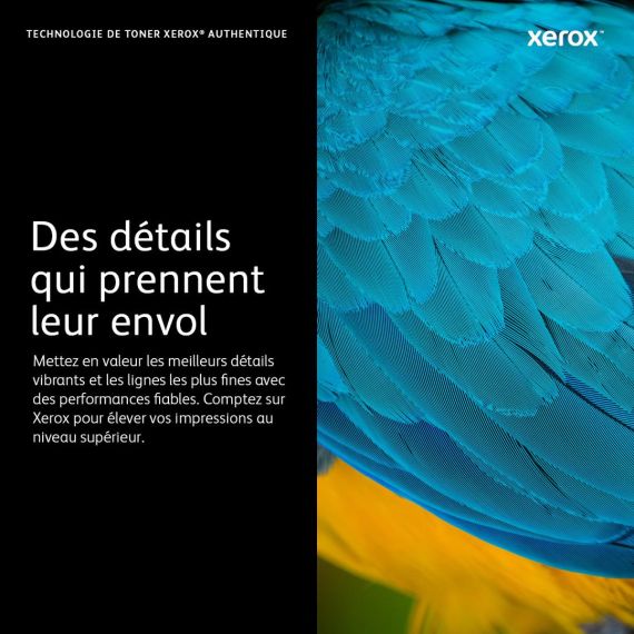 Xerox WorkCentre 7500 Series / Black / original / ton | 006R01513