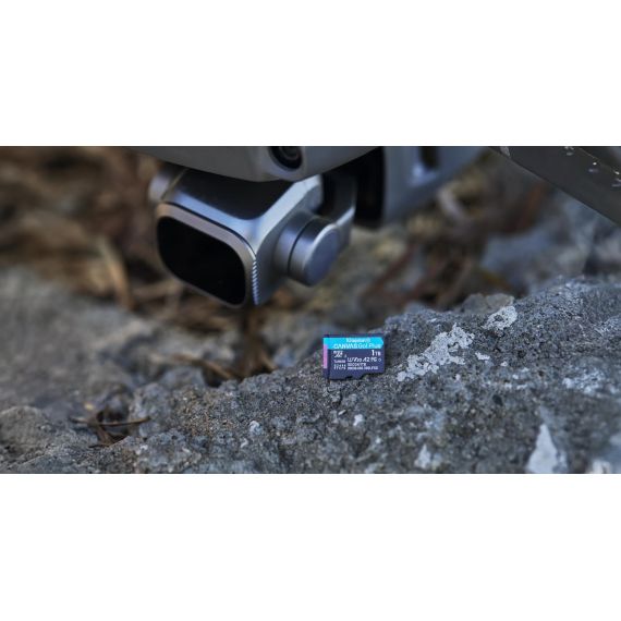 Kingston Technology 1TB microSDXC Canvas Go Plus Gen4 | SDCG4/1TB