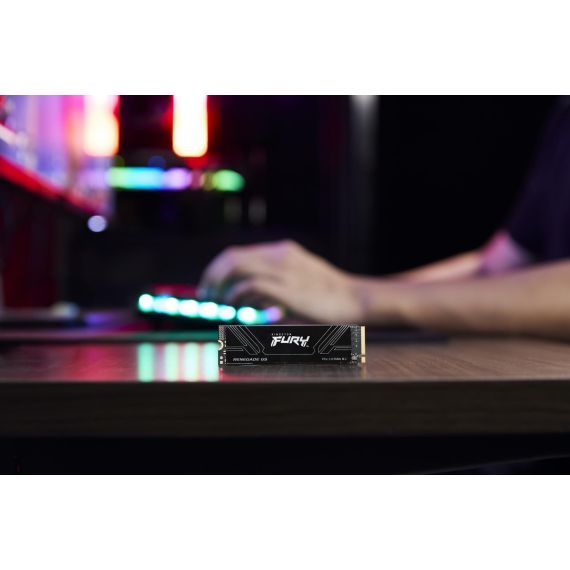 Kingston Technology 4T FURY RENEGADE G5 M.2 2280 NVM | SFYR2S/4T0