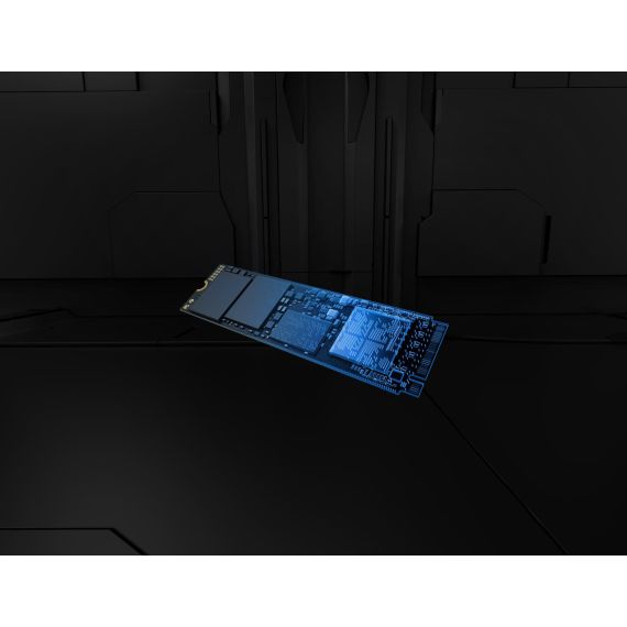 Kingston Technology 4T FURY RENEGADE G5 M.2 2280 NVM | SFYR2S/4T0