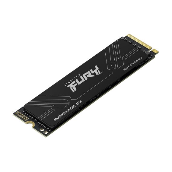 Kingston Technology 4T FURY RENEGADE G5 M.2 2280 NVM | SFYR2S/4T0