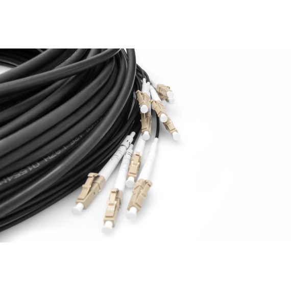 DIGITUS / Breakout cable / LC/UPC multi-mode | DK-2433CU030BK-BBB