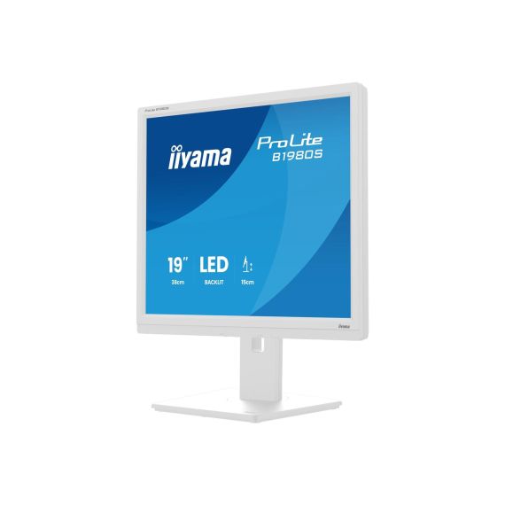 iiyama ProLite B1980S-W1 / LED monitor / 19" / 1280 x 1024 @ 75 H