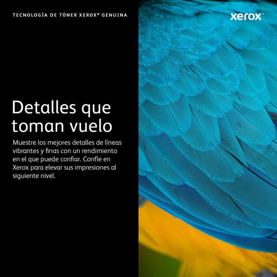Xerox / Gold / original / toner cartridge Sold / for  | 006R01802