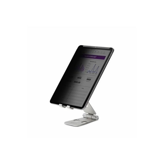 StarTech.com Screen protector for tablet 11IPPRIVACYSCREEN