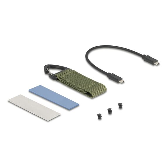 DeLOCK 42033 / SSD enclosure / 1 / M.2 / PCI Express / 40 Gbit/s