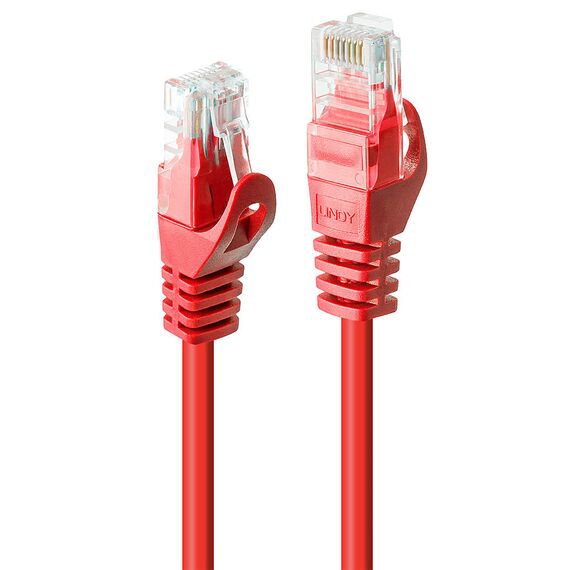 Lindy Basic / Patch cable / RJ-45 (M) to RJ-45 (M) / 50 c | 48181