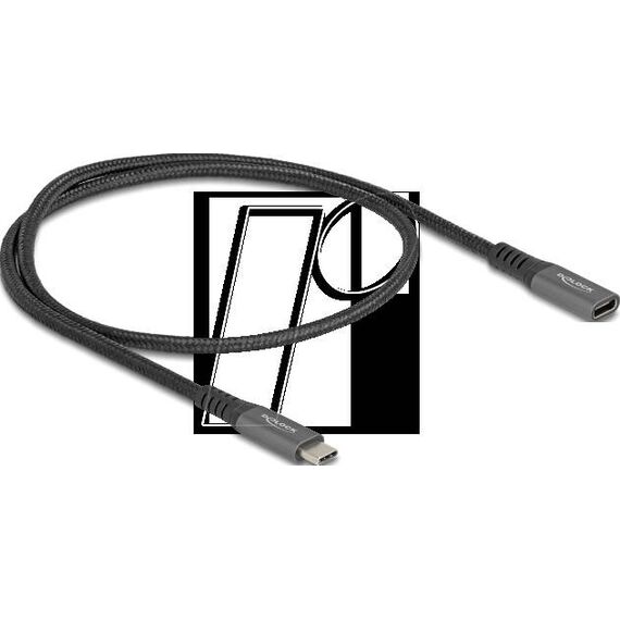 Delock / USB extension cable / 24 pin USB-C (M) to 24 pin | 80021