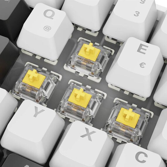 Sharkoon SGK50 S4 / 60% / Wired / USB / QWERTZ /  | 4044951041886