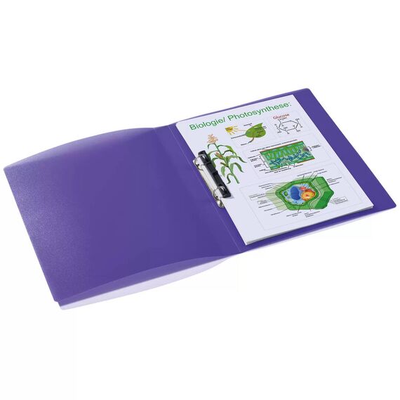 HERMA 19183 / A4 / Polypropylene (PP) / Violet / 1 pc(s)