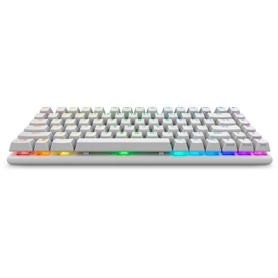 Alienware Pro Wireless Gaming Keyboard Keyboard 75% PROKBWWW