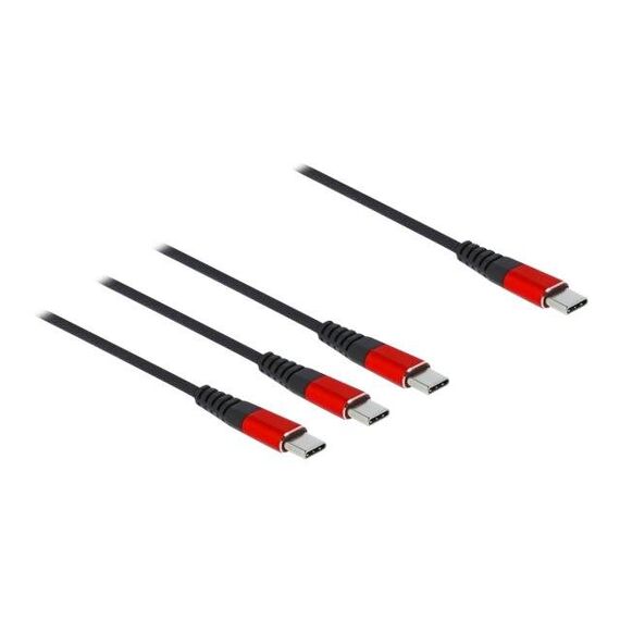 Delock USB cable 24 pin USBC (M) to 24 pin USBC (M) USB 86713