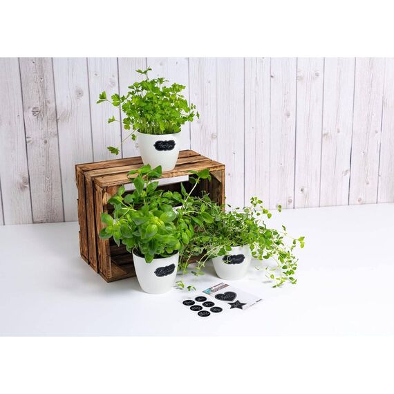 HERMA HOME feeling Blackboard stickers Decoration 15092
