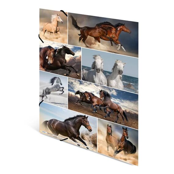 HERMA 19217 A3 Cardboard Multicolour 1 pc(s) Elasticated 19217