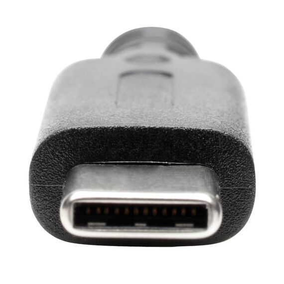 Eaton Tripp Lite Series USB C to DisplayPort Vi | U444-06N-DP4K6B