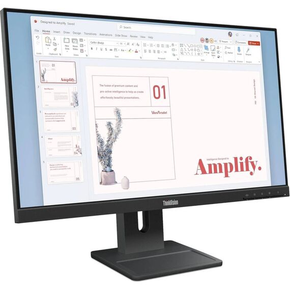 Lenovo ThinkVision E24-40 23.8" IPS Full HD 100Hz