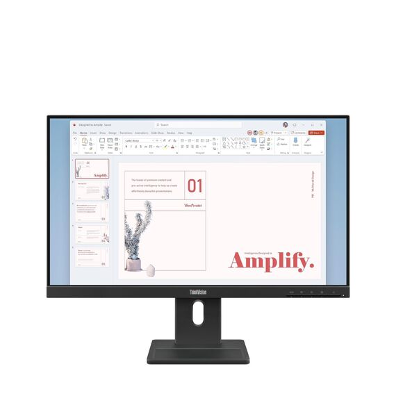 Lenovo ThinkVision E24-40 23.8" IPS Full HD 100Hz