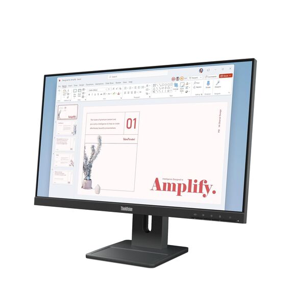Lenovo ThinkVision E24-40 23.8" IPS Full HD 100Hz