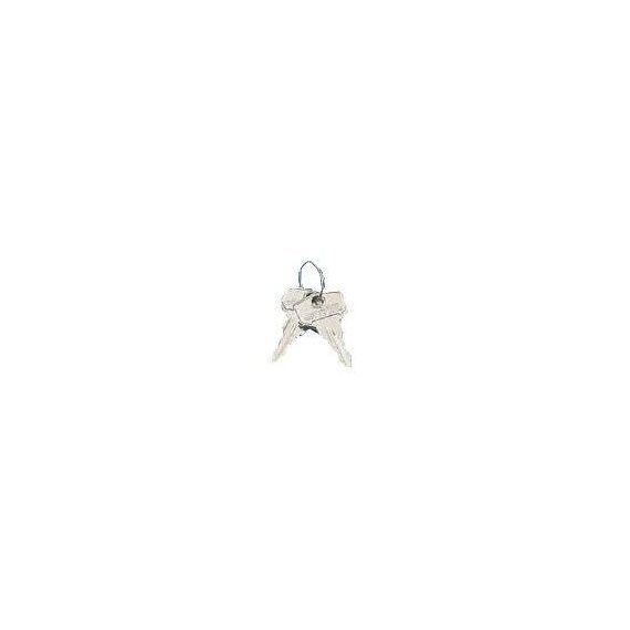 Rittal SZ 7526.050 Enclosure Keys Pack of 2