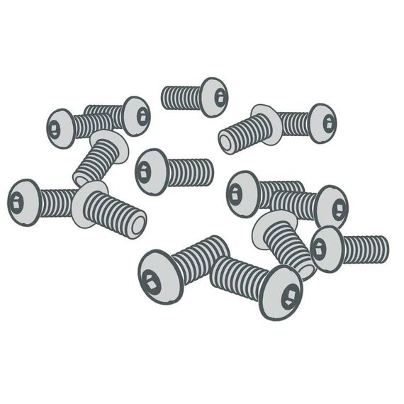 Zebra P1046696-144, Screw, 5 pc(s)