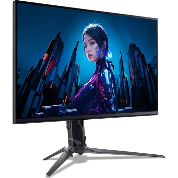 Acer Predator XB253Q F3 24.5" Monitor 320Hz