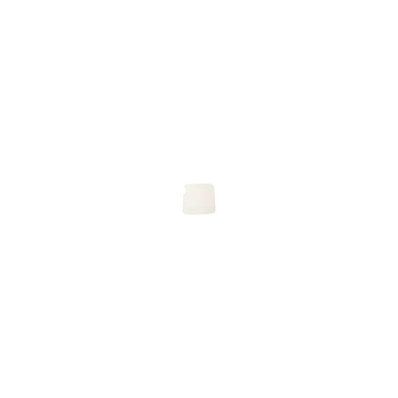 Zebra WS50 Screen Protector