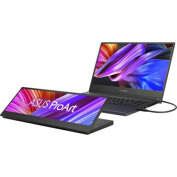 ASUS ProArt Display PA147CDV 14 inch Touch Creative Monitor