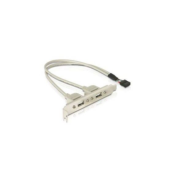Delock USB Panel 10 pin to 2x USB A, 30 cm