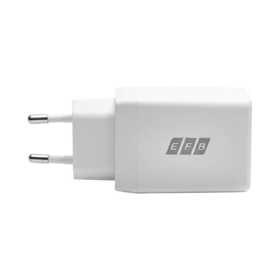 EFB G452CE 45W GaN Dual USB-C Charger with 2 m Cable White