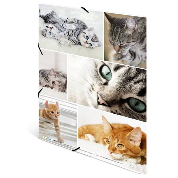HERMA Elasticated Folder A4 Cardboard Cats