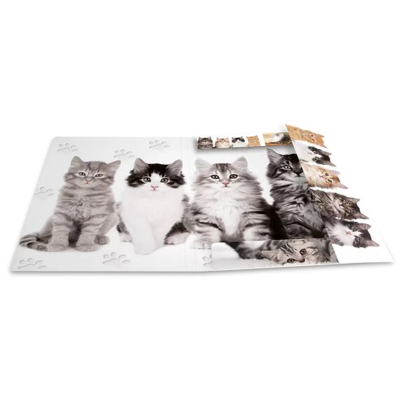 HERMA Elasticated Folder A4 Cardboard Cats