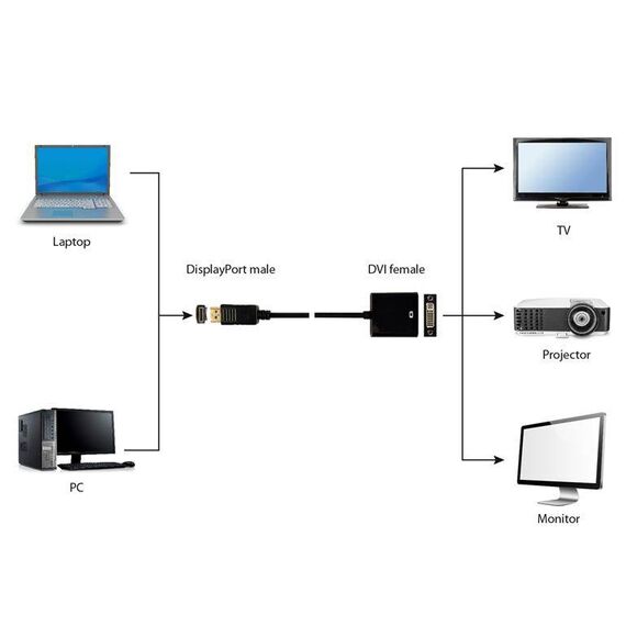 Cablexpert A-DPM-DVIF-002 DisplayPort to DVI adapter 0.1 m Black