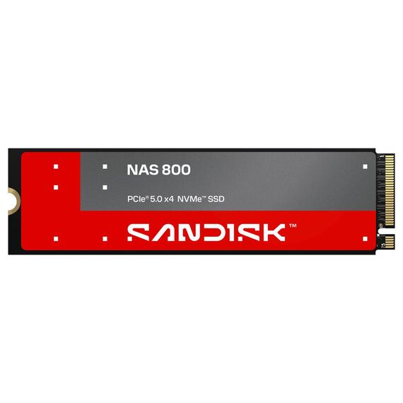 SanDisk NAS 800 960GB M.2 2280 NVMe Internal SSD