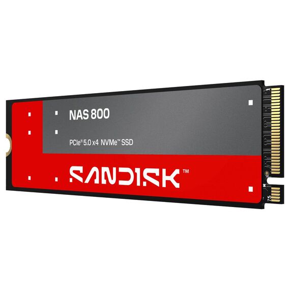 SanDisk NAS 800 960GB M.2 2280 NVMe Internal SSD