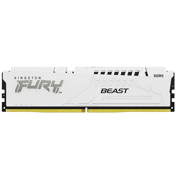 Kingston FURY Beast KF560C30BWE-16 White 16GB DDR5 Desktop Memory Module