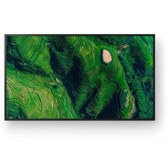 Sony BRAVIA FW-43BZ35P 43-inch 4K Professional Signage Display, Black