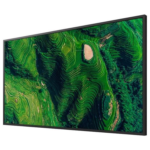 Sony BRAVIA FW-43BZ35P 43-inch 4K Professional Signage Display, Black