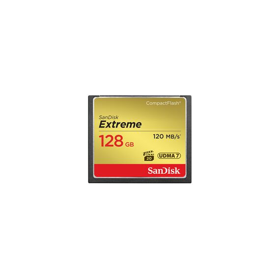 Sandisk M221840